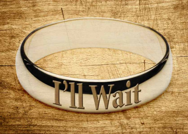 In-praise-of-Virginity-713x509